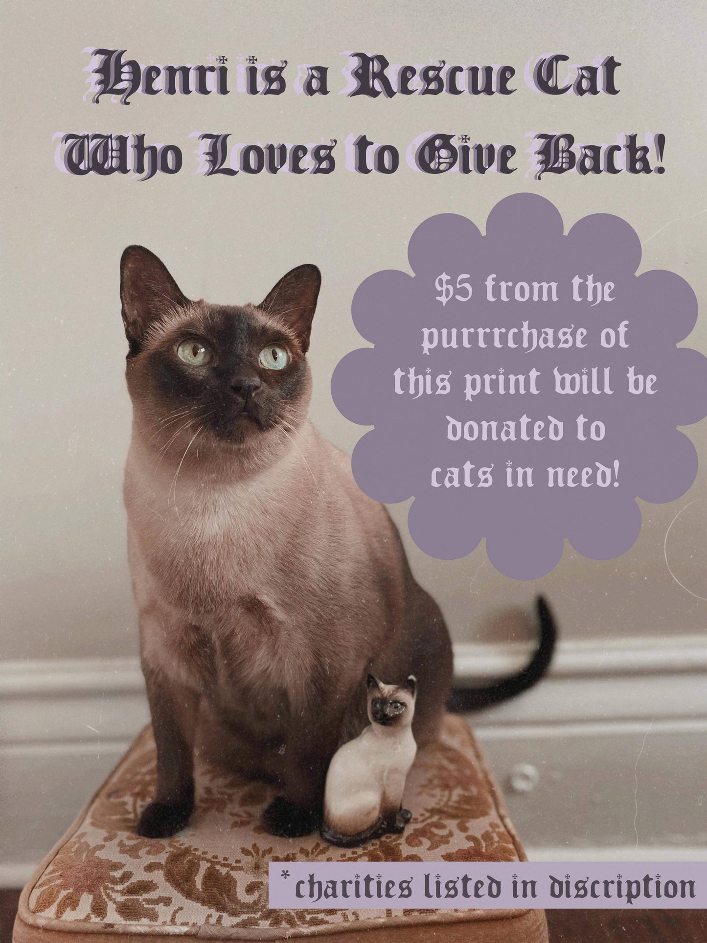 Cat Bouquet - 5x7 Art Print - Prints for a Cause