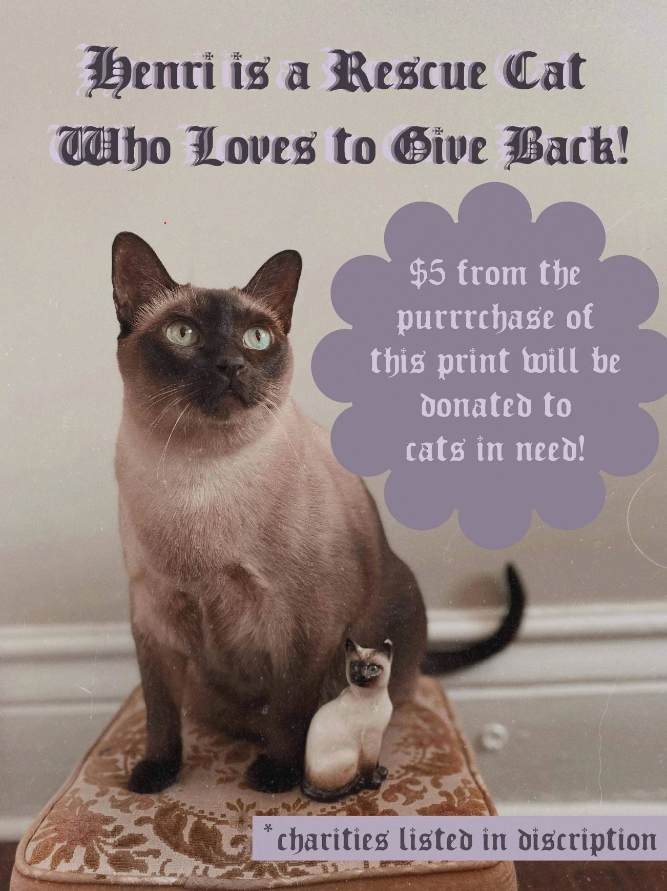 Spooky Cat Bouquet - 5x7 Art Print - Prints for a Cause