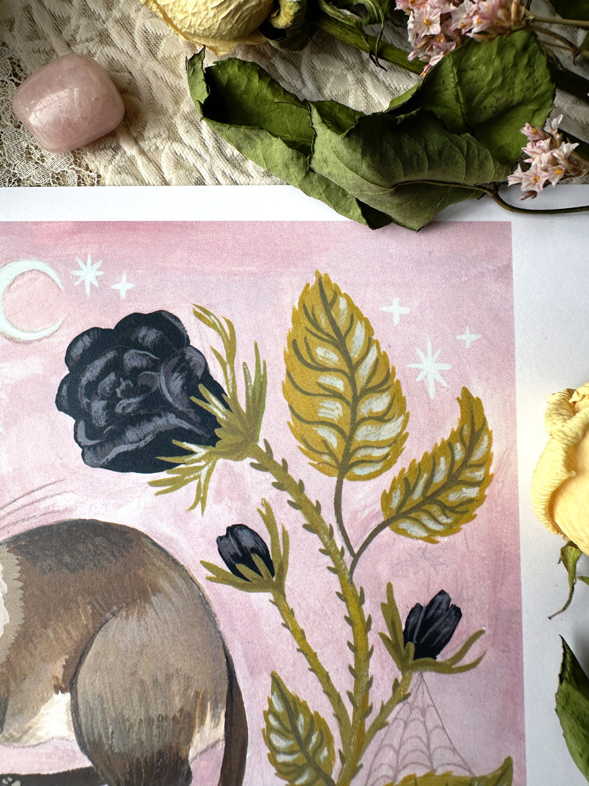 The Prettiest Cat Prince ✦ 8.5x11 Art Print ✦ Prints for a Cause