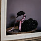 Felted Black Swan Queen