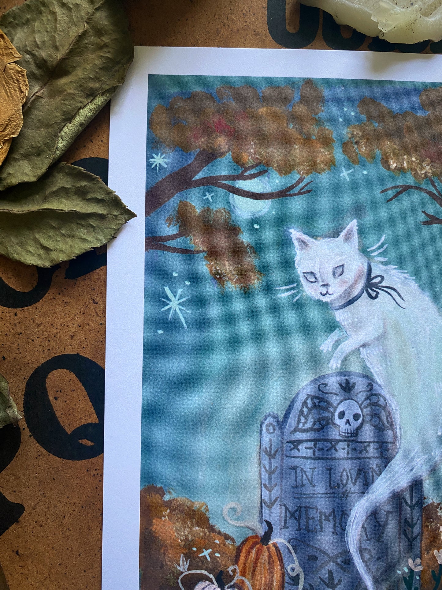 Ghost Cat - 5x7 Art Print