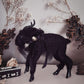Mourning Black Phillip in Black Tulle