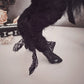 Mourning Black Phillip in Black Tulle