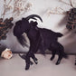 Mourning Black Phillip in Black Velvet