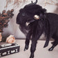 Mourning Black Phillip in Black Tulle
