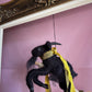 Black Phillip on a Broom ✦ in Chartreuse & Olive Silk