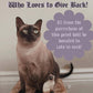 Cat Bouquet - 5x7 Art Print - Prints for a Cause